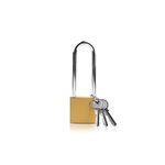 Lamondre Padlock, Heavy Duty Padlock Long Shackle Padlock with Keys, Outdoor High Security Padlock, Key Padlock for Shed, Warehouse, Garage, Garden, Gate - 38mm