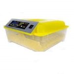 Balaji's 110V/220V Motors Chicken Bird Equipment 48 Eggs Automatic Incubator Tray , Standard, Multicolour