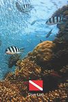 DIVE LOG: DETAILED SCUBA DIVING LOGBOOK FOR UP TO 120 DIVES. CREATIVE AND HANDY GIFT FOR DIVERS. RIFF.