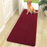 OLANLY Dog Door Mat for Muddy Paws 