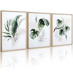 ArtbyHannah Botanical Framed Large Canvas Wall Art, Tropical Leaf Prints and Gold Lines Pictures for Wall Decor Wall Decoration for Living Room,Bedroom, 12x16 inch,3 Piece