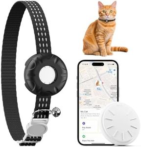 ZITTZ Cat 