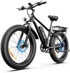 AMYET EB26 Electric Bike for Adults