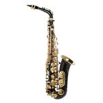 summina Eb Alto Saxophone Brass Lacquered Gold E Flat Sax 82Z Key Type Woodwind Instrument with Cleaning Brush Cloth Gloves Strap Padded Case