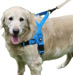 AndroPets Dog Harness - No Pull, Reflective, Escape-Proof - Perfect for Leash and Harness Training - Adjustable Sizes for Small, Medium, and Large Dogs - Dog Vest (Aqua Blue, Medium)