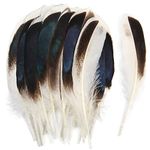 THARAHT 120pcs Natrual Gray Natrual Mallard Duck Feathers 4-6 inch 10-15cm Bulk for Crafts Carnival Handwork Clothing Costumes Hair Hats Crafts Home Wedding Party Decoration Duck Feathers