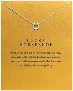 Baydurcan Horseshoe Necklace Horseshoe Pendant Chain Necklace with Message Card Gift Card (Horseshoe s)