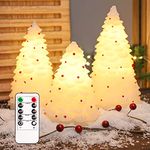 Crystal Club Christmas Flameless Candles with Timer, Flickering Holiday Candles, Set of 3, 3D Stereo Carved White Christmas Tree with Red Berries, Battery-Operated with Remote for Xmas Home Decor