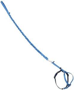 PetSafe Come with Me Kitty Harness and Bungee Leash, Harness for Cats, Medium, Royal Blue/Navy, 8.1 Inch, 8.1 Inch