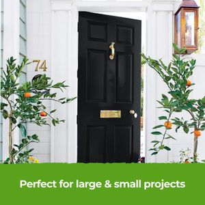 THE ONE Black Matte Paint, 250ml – Multi-Surface Interior & Exterior