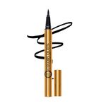 Colors Queen High-Tech Liquid Pen Eyeliner – Black, 1.2g, Intense Matte Finish, Quick Drying Formula, Sweat Proof, Waterproof & Smudge Proof Eyeliner, Long Lasting, Felt Tip Applicator