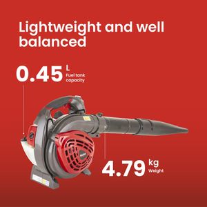Mountfield Electric Leaf Blower – Lightweight, Powerful 270V