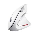 Vertical Mouse For Apple