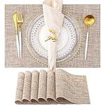 Placemats Set of 6 Washable Indoor/
