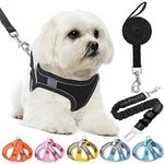 HPETHF Dog Harness for Small Dogs Leashes Set,Soft No Pull Adjustable Breathable Mesh Leash and Harness Vest Belt for Puppy,Small,Medium Dogs and Cats.（BK-XS）