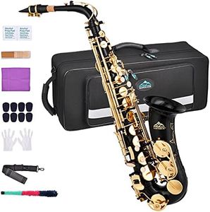 EASTROCK Alto Saxophone for Beginner, E Flat Black Lacquer Alto Saxophone, E Key Sax with Hard Case Mouthpiece Pads Neck Strap Reeds Cleaning Cloth Gloves (Black)