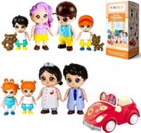 FUNERICA Dollhouse People Figures Playset - Dollhouse Family Little People Figures Doll House Accessories Toys -Play People (Family Figures with Car, Pets, Doctor & Nurse)