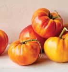 Burpee 'Big Rainbow' Heirloom, Large Beefsteak Slicing Tomato, 100 Non-GMO Seeds