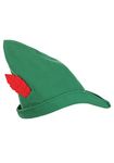 Disney Peter Pan Costume Hat Green Standard