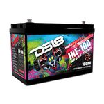 DS18 INF-100AH 2800 Watts AGM Power Cell 12 Volt Battery M6 Bolt Terminal Maintenance Free - High Performance for Car Audio, Motorsports, Motorcycle, Jet Ski, ATV & UTV