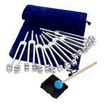 Chakra Tuning Forks Set, 7 Chakra and 1 Soul Purpose Weighted Tuning Forks with Silicone Hammer, Bag, Cleaning Cloth, for Healing, Sound Therapy, Musical Instrument, Balancing, Vibration (Silver)