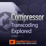 Compressor Transcoding Explored Cou