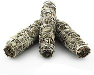 Nosy Nomad White Sage Smudge Stick 