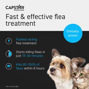 Capstar Flea Tablets for Cats & Small Dogs – Fast-Acting Oral Treatment