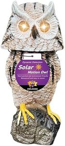 Owlsome So