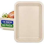 EcoAvance 14 inch Large Paper Plate