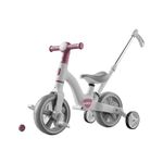 MUMMAMIA 3 in 1 Tricycle with Push Handle, Converts to Balance Bike, 10 Inch Toddler Bike, 18 Months to 4 Years, Unisex (Cranberry RED)