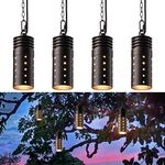 LEONLITE Low Voltage Hanging Lights Outdoor, LED Landscape Pendant Lights, UL Listed, 12V Hanging Tree Light for Gazebo, Pergola, Garden, Aluminum, IP65, 2700K Soft White, Oil Rubbed Bronze, Pack of 4