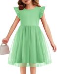 Flypigs Toddler Girls Tutu Dress Fluffy Casual Tulle Dresses Party Sundress for Kids 2-6Y Ice Green