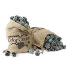 Plow & Hearth Wood Burning Accessories, Pine, Blue, 5 LB Refill in Burlap Bag