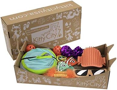 Kitty City Swat Track Cat Toy, 3 Toys in 1 Cat Toy, Deluxe and Basic Cat Toy Box, Ball Track