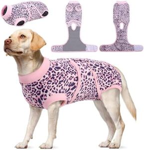 Kuoser Dog