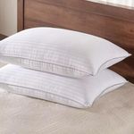 Basic Beyond Down Alternative Standard Size Bed Pillows - 2 Pack Hotel Collection Super Soft Pillow for Sleeping with Bamboo Materials Fill, 20x26