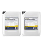 Floorseal Black Spot Remover Plus - Max Power - Removes Lichen, Algae & Bird Droppings (10 Litre)