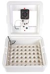 Little Giant 11300 Deluxe Digital Incubator with Built-In Fan and Automatic Egg Turner, 41 Egg Capacity