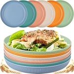 6 Pcs Plastic Plates Reusable 9 Inc