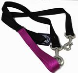 2 Hounds Freedom No Pull 1 Inch Training Leash ONLY Works with No Pull Harnesses Raspberry