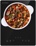 COVERCOOK Portable Induction Hob,Single Induction Cooker, Plug in Electric Cooktop with 9 Power Level with Temperature Control, Ultra Thin, 4-hour Timer,Touch Control, Child Safety Lock, 2000W