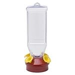 Perky-Pet 201 Lantern Hummingbird F