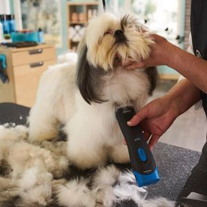 Oster Pro 3000i Cordless Pet Clippers – Rechargeable Grooming Tool
