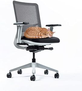 Yaasa Chair Classic Ergonomischer Bürostuhl gegen Rückenschmerzen | integrierte Lordosenstütze | 3D-Armlehnen und Einstellung der Sitztiefe | Traglast 130kg | 5 Jahre Garantie (Weiß)