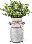 Dahey Metal Flower Vase with Artifi