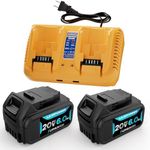 LILEIPOWER 2Pack 20V 6.0Ah Battery 