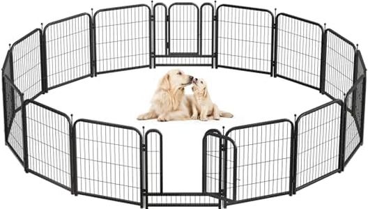 Petorldog 