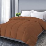 Filbert - Premium 400 GSM Comforter Super Soft Fluffy Comforter (92" x 106" Inches/233cm x 269cm) - King Size Comforter|Chocolate Brown