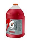 Gatorade 33977 Thirst Quencher Liquid Concentrate, Red, Standard (Pack of 4)